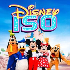 A Dream is a Wish Your Heart Makes - What Disney Item Can We Help You Find?